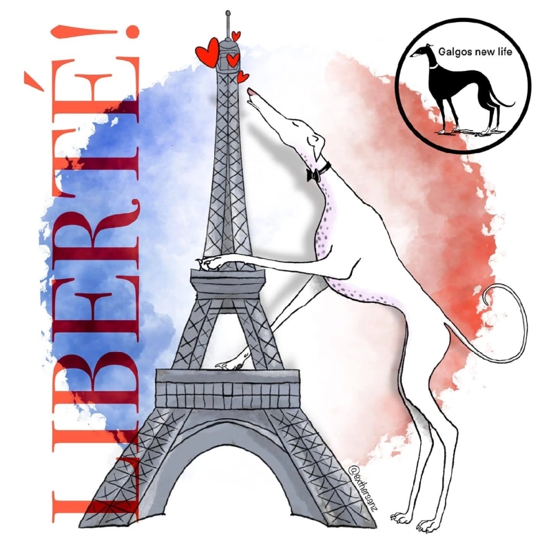 Collecte de dons pour l’Association Galgos New Life