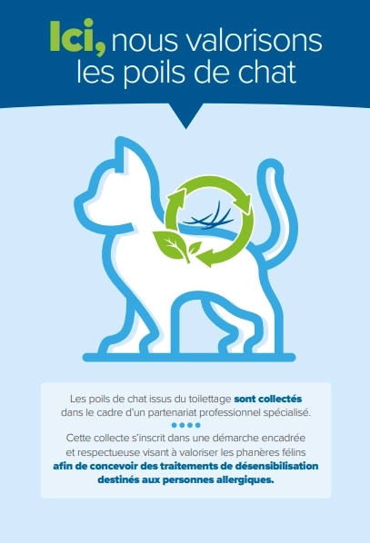 Collecte de poils de chats